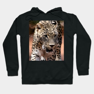 Persian Leopard Hoodie